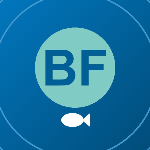 Balatoni Fish & Chips